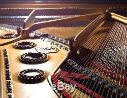 $10,000 reduction/ Museum grade STEINWAY & SONS Model B semi concert grand piano