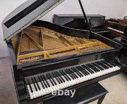 1881 Steinway Grand Piano- Model A, 6'0 REBUILT / Refinished