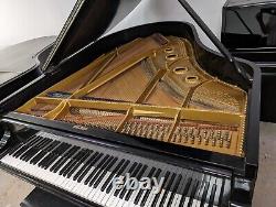 1881 Steinway Grand Piano- Model A, 6'0 REBUILT / Refinished