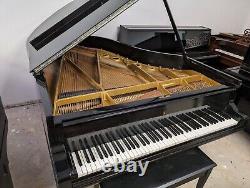 1881 Steinway Grand Piano- Model A, 6'0 REBUILT / Refinished