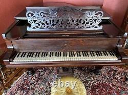 1881 Victorian Steinway Model A Grand Piano Original Finish 85 Key