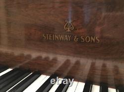 1883 Steinway & Sons Model A 85 Key Grand Piano Very Good Condition