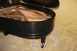 1891-1892 Steinway Model A Grand Piano Ebony Satin Finish