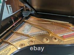 1907 Steinway Model A Grand Piano