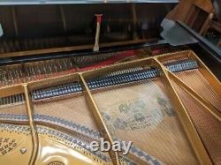 1907 Steinway Model A Grand Piano