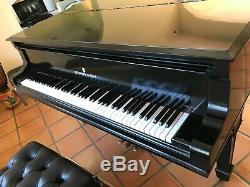 1908 Steinway Model D Grand Piano