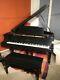 1916 Steinway Model M 5'7 Grand Piano Completely Rebuilt By A Pro Expert