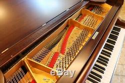 1917 Mason & Hamlin Model AA Grand Piano Fully Restored Beautiful Mahogany