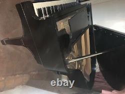 1917 Steinway & Sons grand piano model o