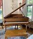 1919 Steinway Grand Piano- Model M 5'7 Rebuilt / Refinished / King Louis Style