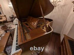 1919 Steinway Grand Piano- Model M 5'7 REBUILT / Refinished / King Louis Style