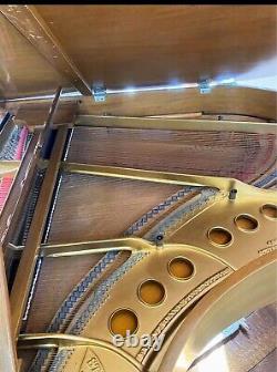 1919 Steinway Grand Piano- Model M 5'7 REBUILT / Refinished / King Louis Style