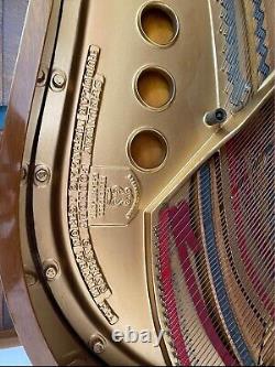 1919 Steinway Grand Piano- Model M 5'7 REBUILT / Refinished / King Louis Style