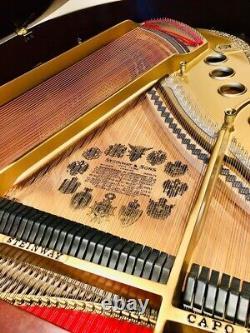 1920 Steinway Grand Piano- Model M 5'7 REBUILT / Refinished