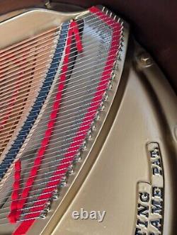 1920 Steinway Grand Piano- Model M 5'7 REBUILT / Refinished