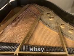 1925 Steinway Grand Piano model L 510