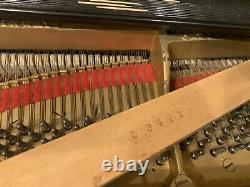 1925 Steinway Grand Piano model L 510