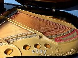 1925 Steinway Model M Grand Piano