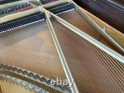 1926 Steinway Model AR baby grand with DuoArt Reproducing Technology