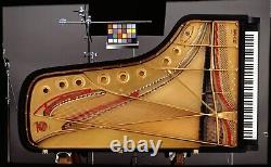 1973 Steinway & Sons Model D 9' Concert Grand Piano (needs some restoration)