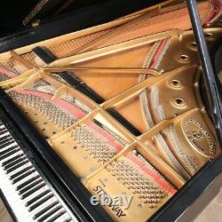 1980 Steinway Grand Piano, Model D- 8'11