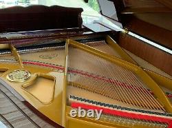 2002 Petrof Baby Grand Model IV Chippendale in High Polish Walnut