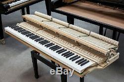 2004 Bluthner 6'11 Grand Piano Model 4 ($131K retail) VIDEOS Also Steinway