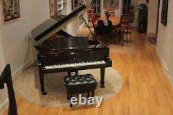 2010 Steinway Grand Piano Model D Ebony