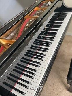 2011 Steinway Model B Concert Grand Piano 6'11 Pristine