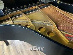 2012 Stunning Steinway & Sons Model O Grand Piano Showroom Ready