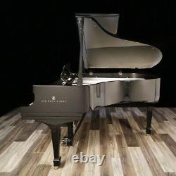 2014 Steinway Grand Piano, STERLING EDITION, Silver Harp Model O, 5'10
