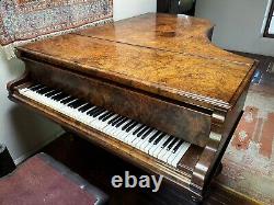 Antique, Bechstein Model V Grand Piano with a Burr Walnut Case (1898)