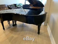 BEAUTIFUL STEINWAY & SONS MODEL B GRAND PIANO MADE IN 1927 Restored 2019