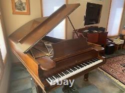 BEAUTIFUL Steinway Model B Concert Grand brown with matching bench good cdtn