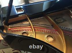 Baby Grand Piano Young Chang Model TG-150 Polished Ebony With Bench Stunning