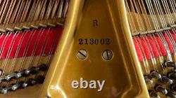 Baldwin 1975 Art-Case Piano Model 226 #213002