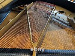 Baldwin Artist Model M Grand Piano new hammers/strings