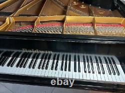 Baldwin Concert Grand Piano 9' Model SD 6 rebuilt, refinished Steinway bench