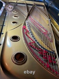 Baldwin Concert Grand Piano 9' Model SD 6 rebuilt, refinished Steinway bench