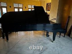 Baldwin Concert Grand Piano 9' Model SD 6 rebuilt, refinished Steinway bench