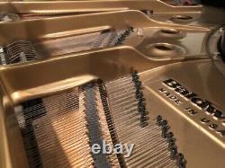 Baldwin Grand Piano 5' 8 Model R Excellent Condition