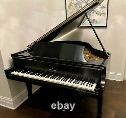 Beautiful Steinway Baby Grand Piano, Ebony matt finish, Model S