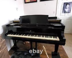 Beautiful Steinway Grand Piano, Model B, Ebony