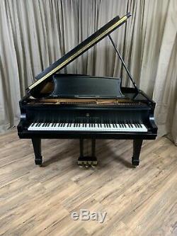 Beautiful Steinway & Sons Model B Grand Piano Made In 1985