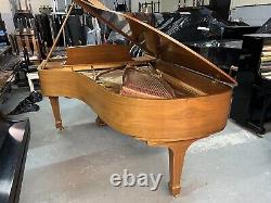 Beautiful Steinway & Sons Model B Walnut Grand Piano Made In 1995