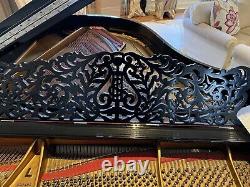 Beautiful Steinway & Sons Model L Limited Edition Baby Grand Piano Made In 1995