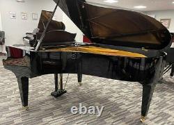 Bechstein B 6'8 Grand Piano Picarzo Pianos 1982 Model $170K retail VIDEOS