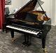 Bechstein C 7'7 Grand Piano Picarzo Pianos 2003 Model ($200,000 New) Videos