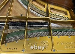 Bechstein C 7'7 Grand Piano Picarzo Pianos 2003 Model ($200,000 new) VIDEOS