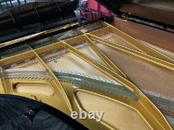 Bechstein C 7'7 Grand Piano Picarzo Pianos 2003 Model ($200,000 new) VIDEOS